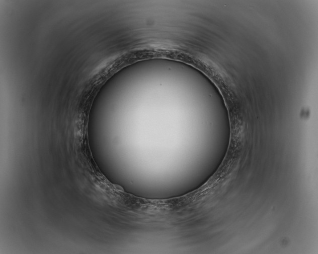 X0000101661110200807101248
