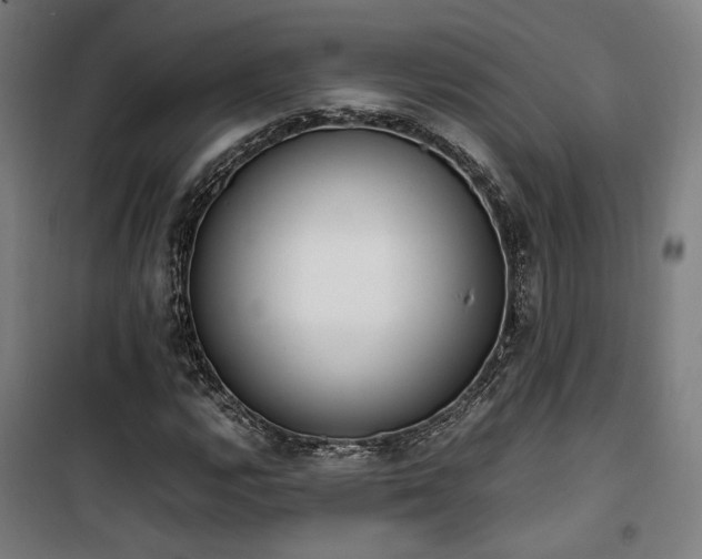 X0000101661112200807101248