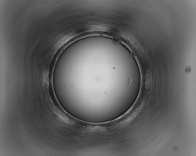 X0000101661113200807101248