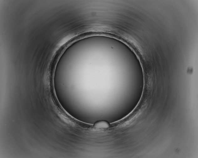 X0000101661114200807101248