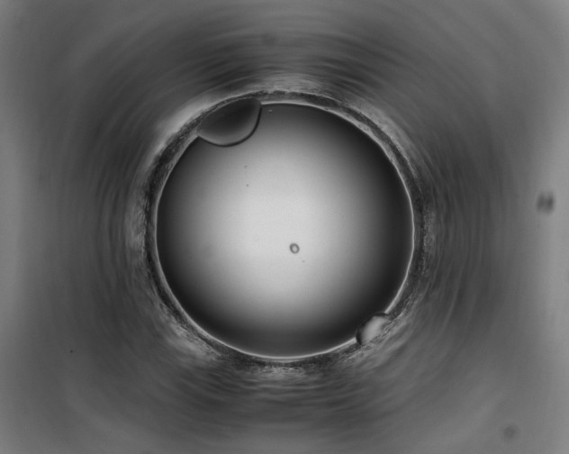 X0000101661115200807101248