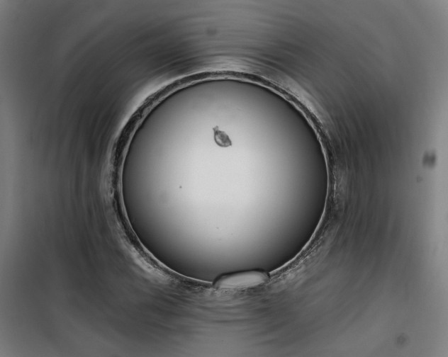 X0000101661116200807101248