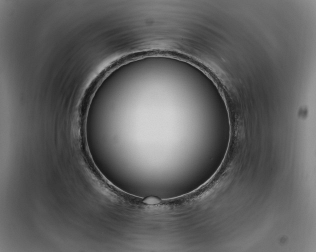 X0000101661118200807101248