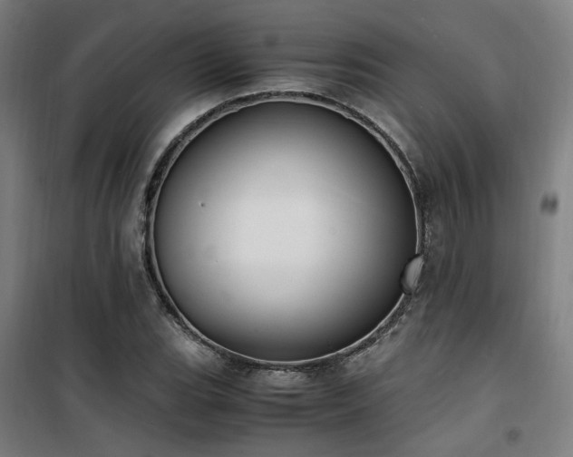 X0000101661119200807101248