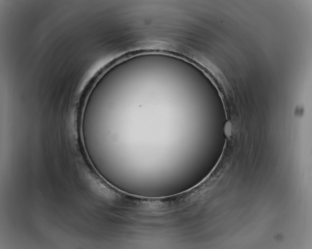 X0000101661120200807101248