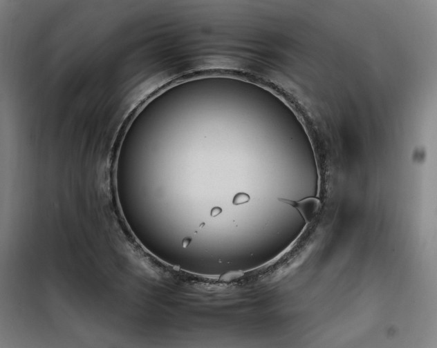 X0000101661121200807101248