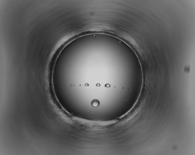 X0000101661122200807101248