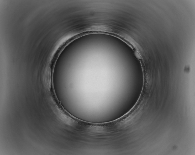 X0000101661123200807101248