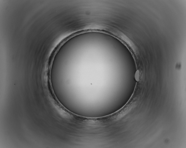 X0000101661124200807101248