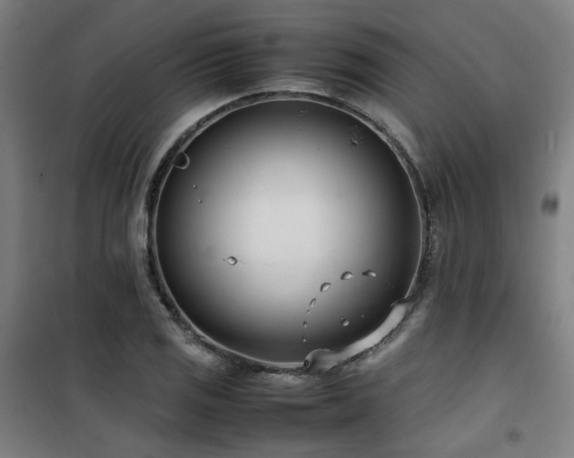 X0000101661125200807101248