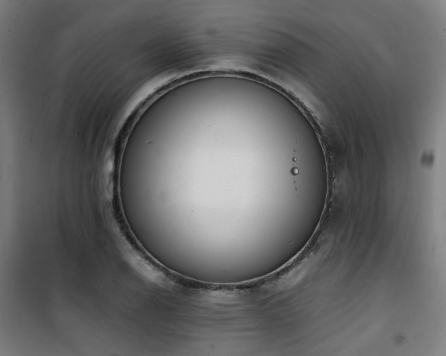 X0000101661126200807101248