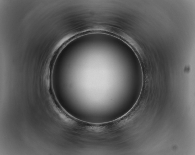 X0000101661127200807101248