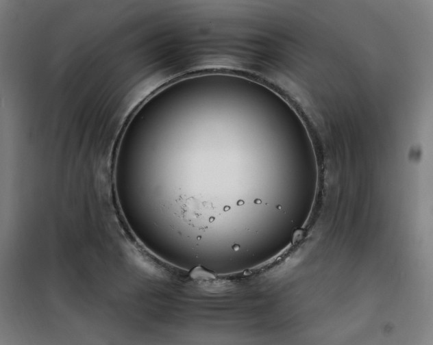 X0000101661129200807101248