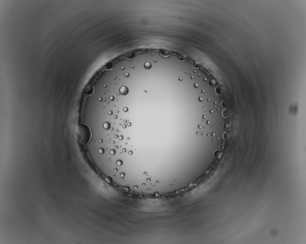 X0000101661130200807101248