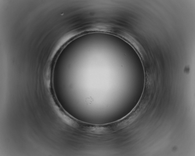 X0000101661131200807101248