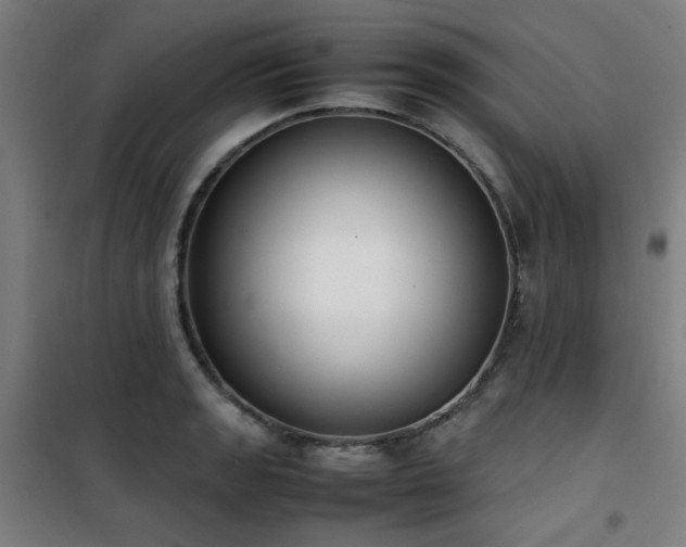 X0000101661133200807101248