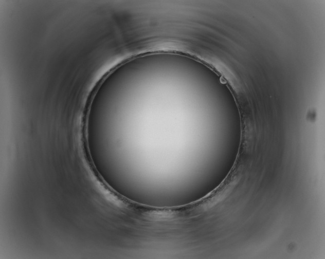 X0000101661134200807101248