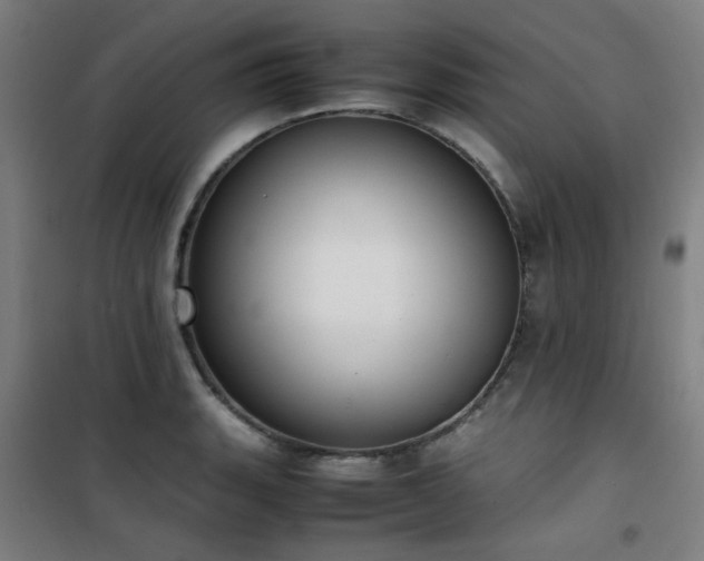 X0000101661135200807101248
