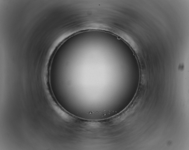 X0000101661136200807101248