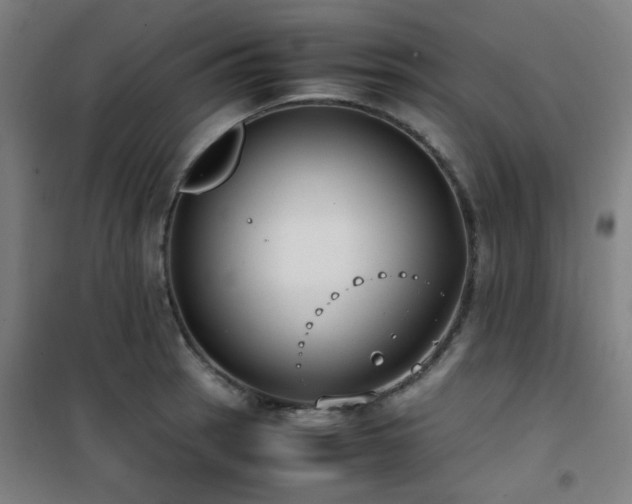 X0000101661137200807101248