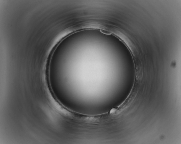 X0000101661139200807101248