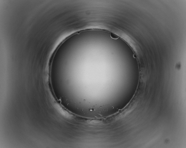 X0000101661140200807101248