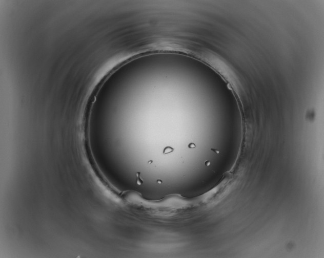 X0000101661141200807101248
