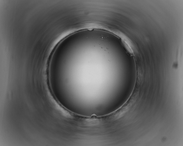 X0000101661142200807101248