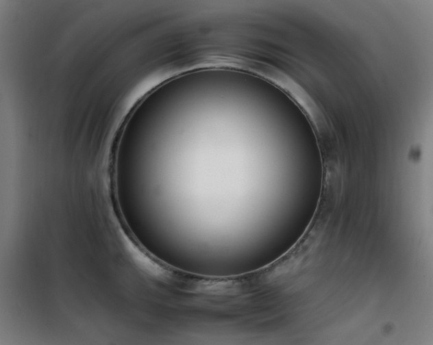 X0000101661143200807101248