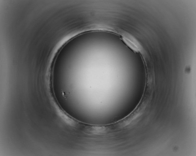 X0000101661144200807101248