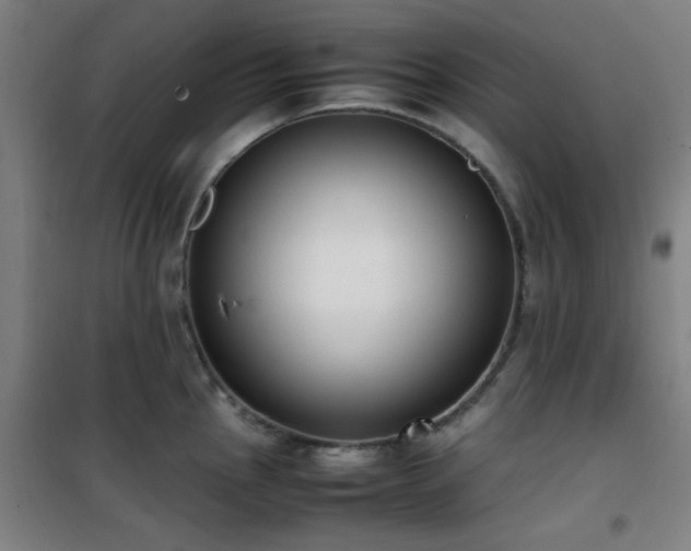 X0000101661145200807101248