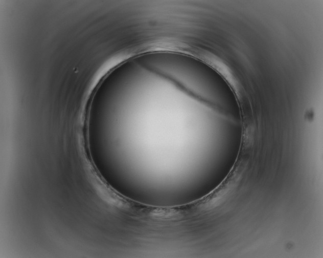 X0000101661146200807101248