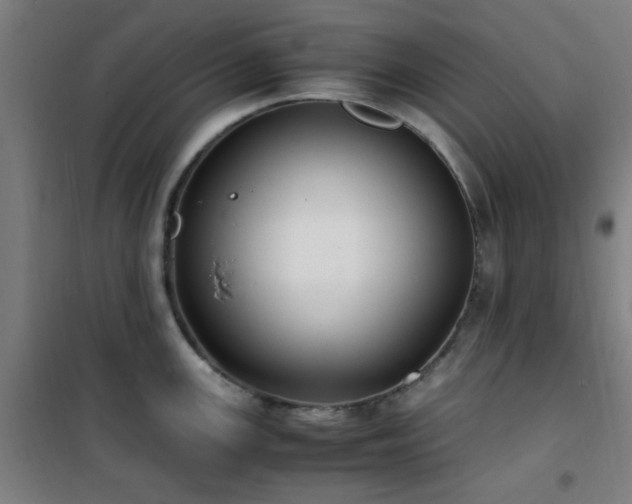 X0000101661147200807101248