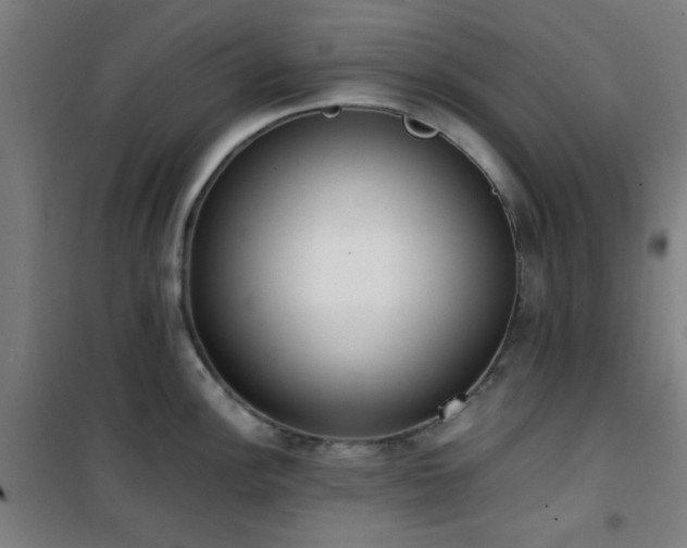 X0000101661148200807101248