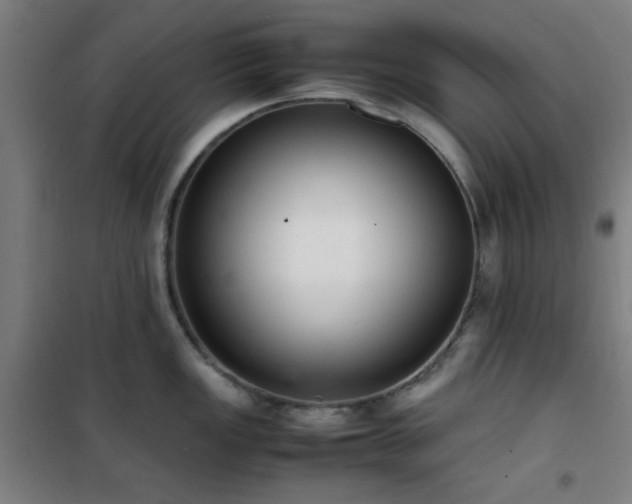 X0000101661149200807101248