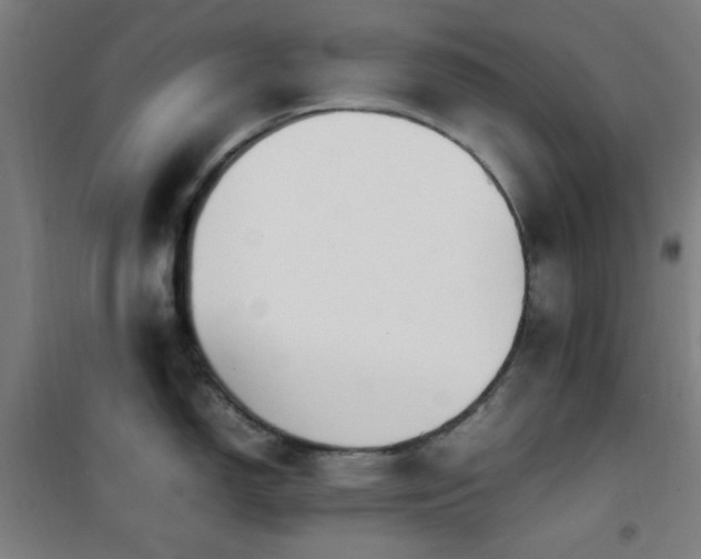 X0000101661150200807101248