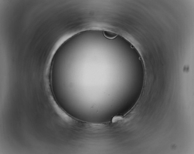 X0000101661152200807101248
