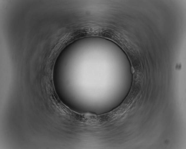 X0000101661153200807101248