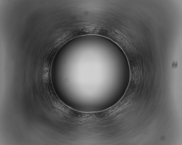 X0000101661154200807101248