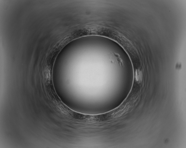 X0000101661155200807101248