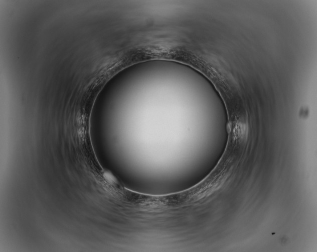 X0000101661156200807101248