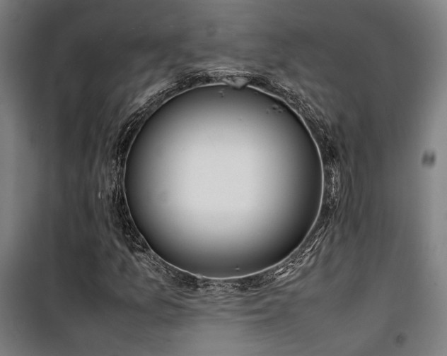 X0000101661157200807101248