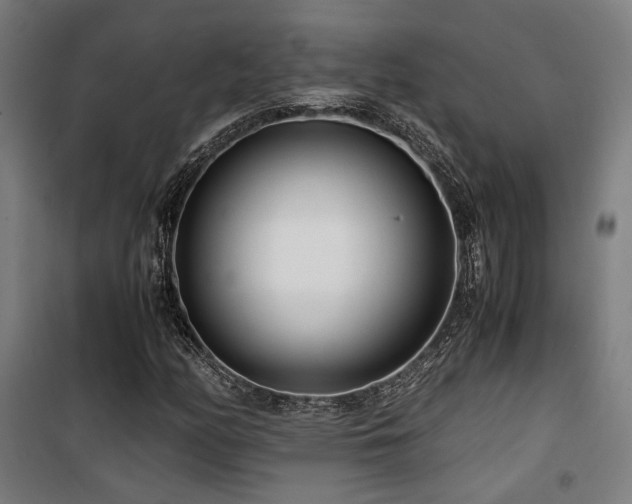 X0000101661158200807101248