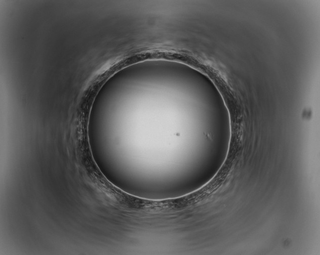 X0000101661159200807101248