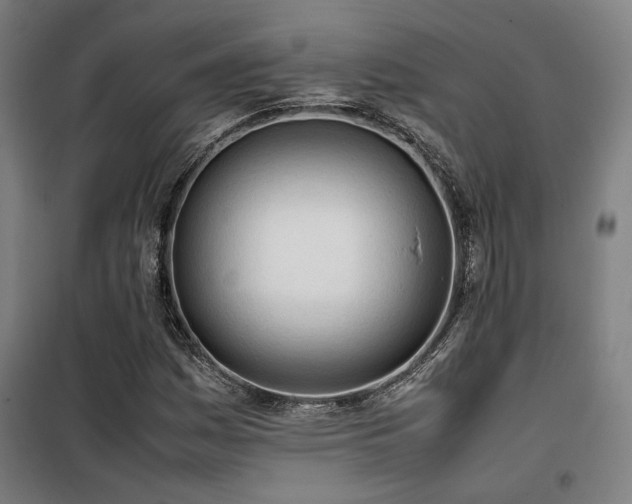 X0000101661161200807101248