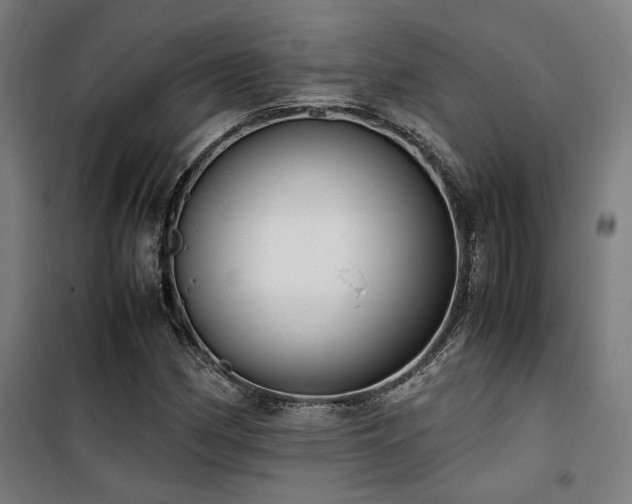 X0000101661162200807101247