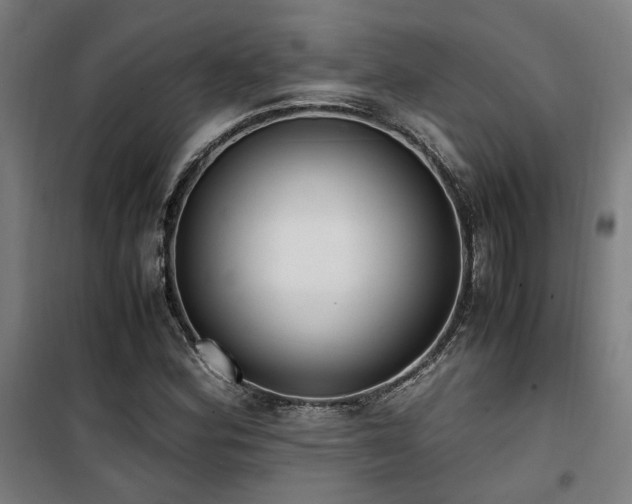 X0000101661164200807101247