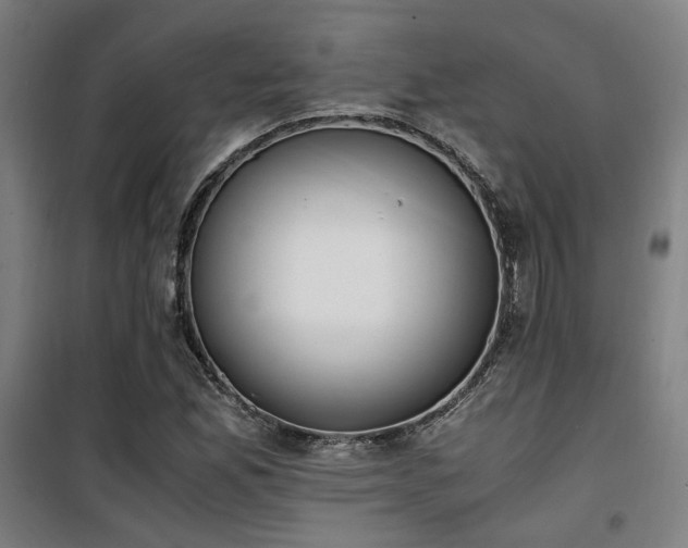 X0000101661165200807101247