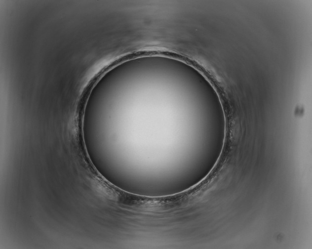 X0000101661167200807101247