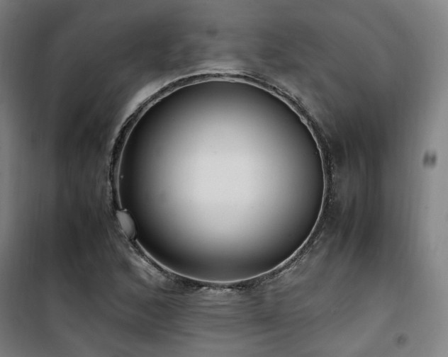 X0000101661168200807101247